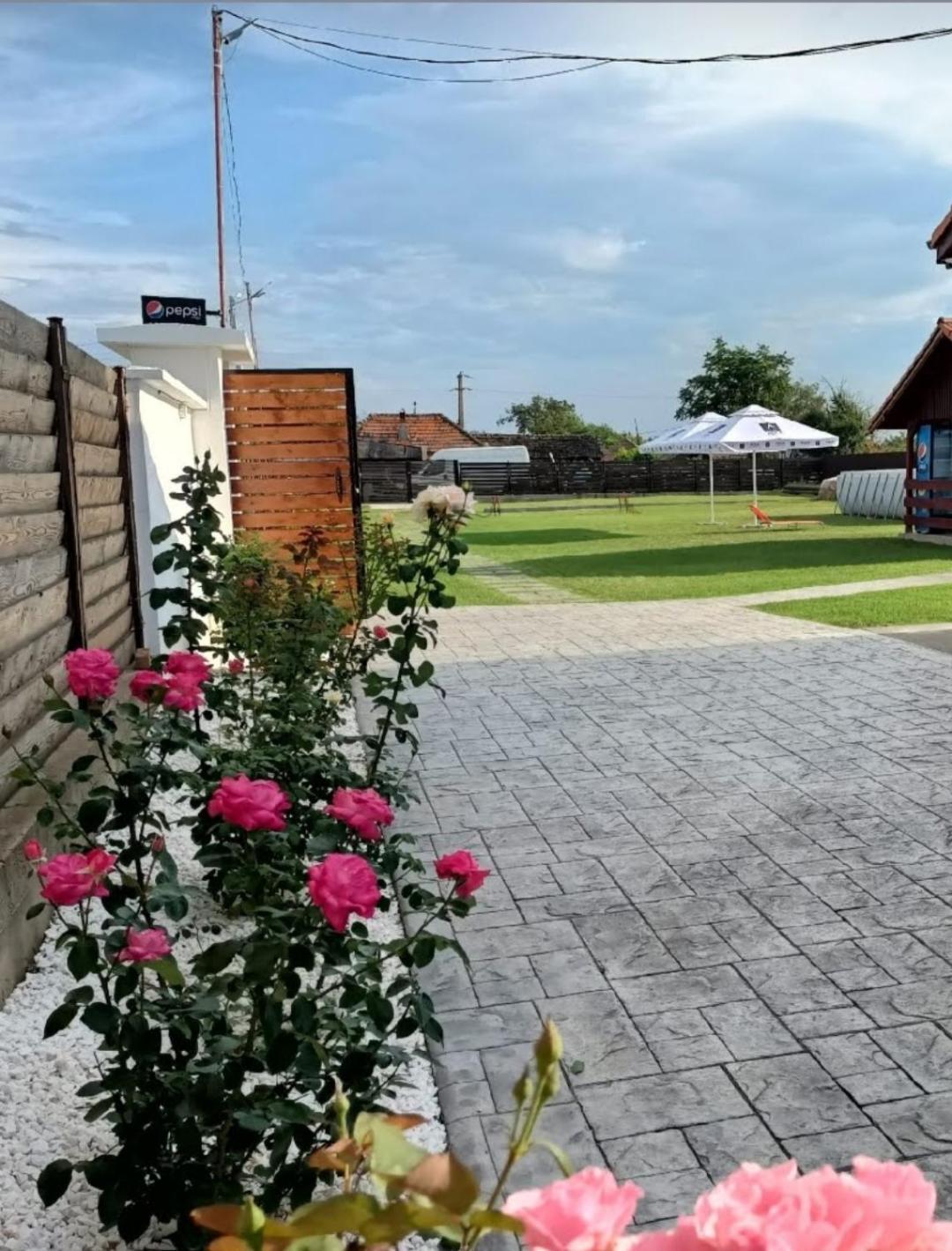 Family House Pristol Διαμέρισμα Εξωτερικό φωτογραφία