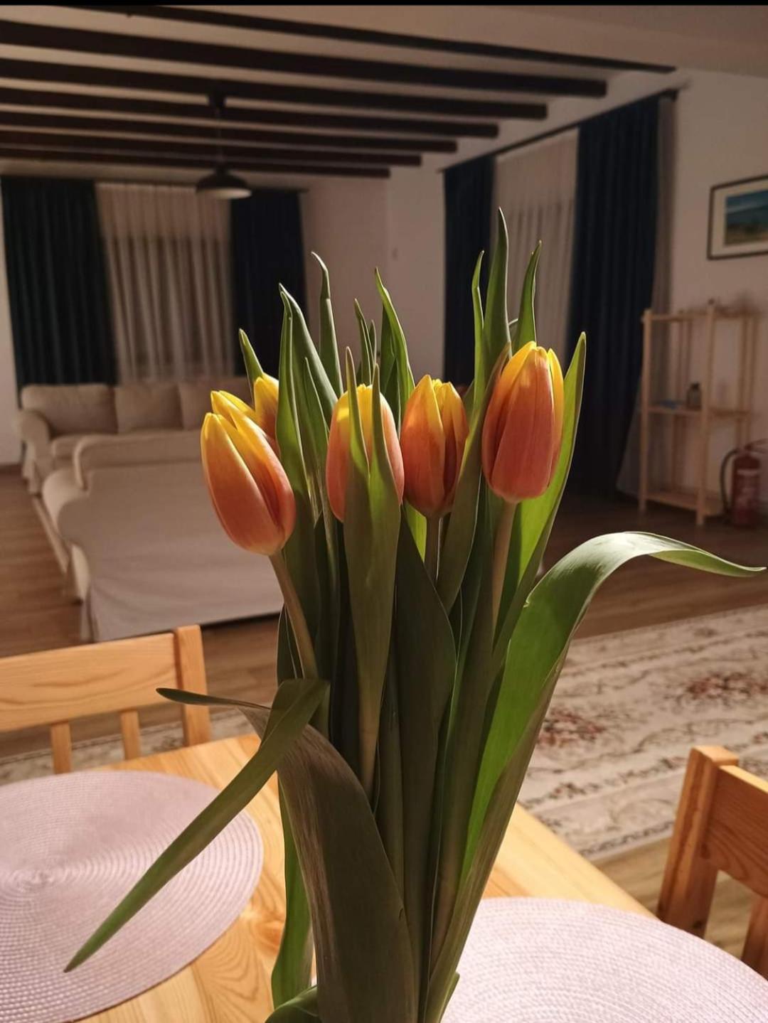 Family House Pristol Διαμέρισμα Εξωτερικό φωτογραφία