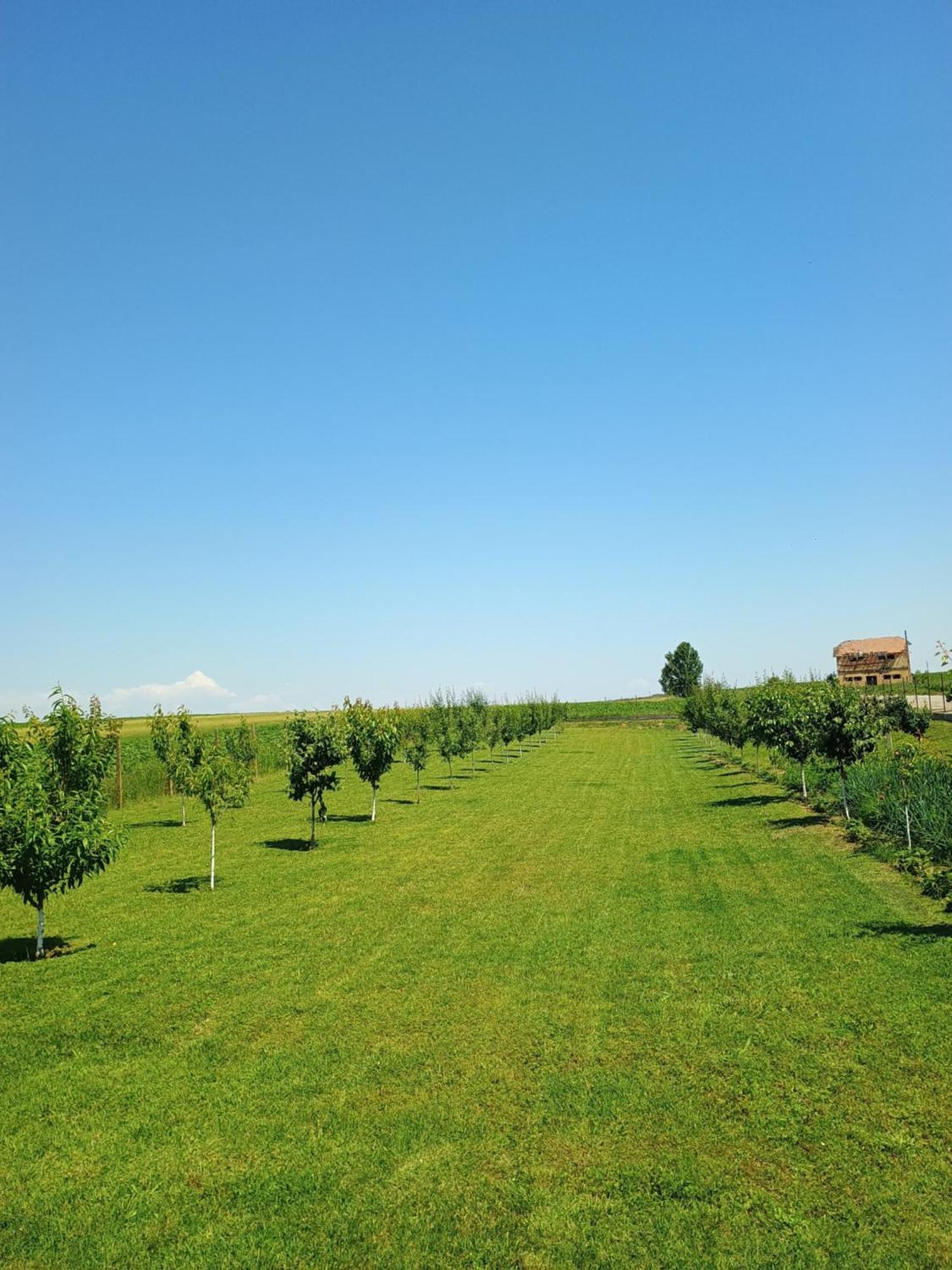 Family House Pristol Διαμέρισμα Εξωτερικό φωτογραφία